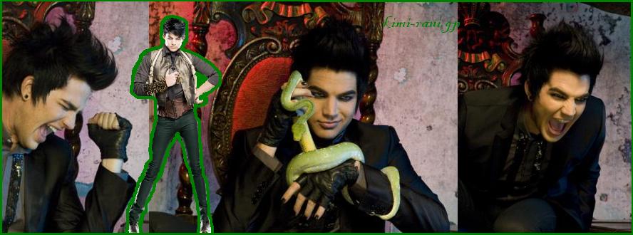 Adam Lambert